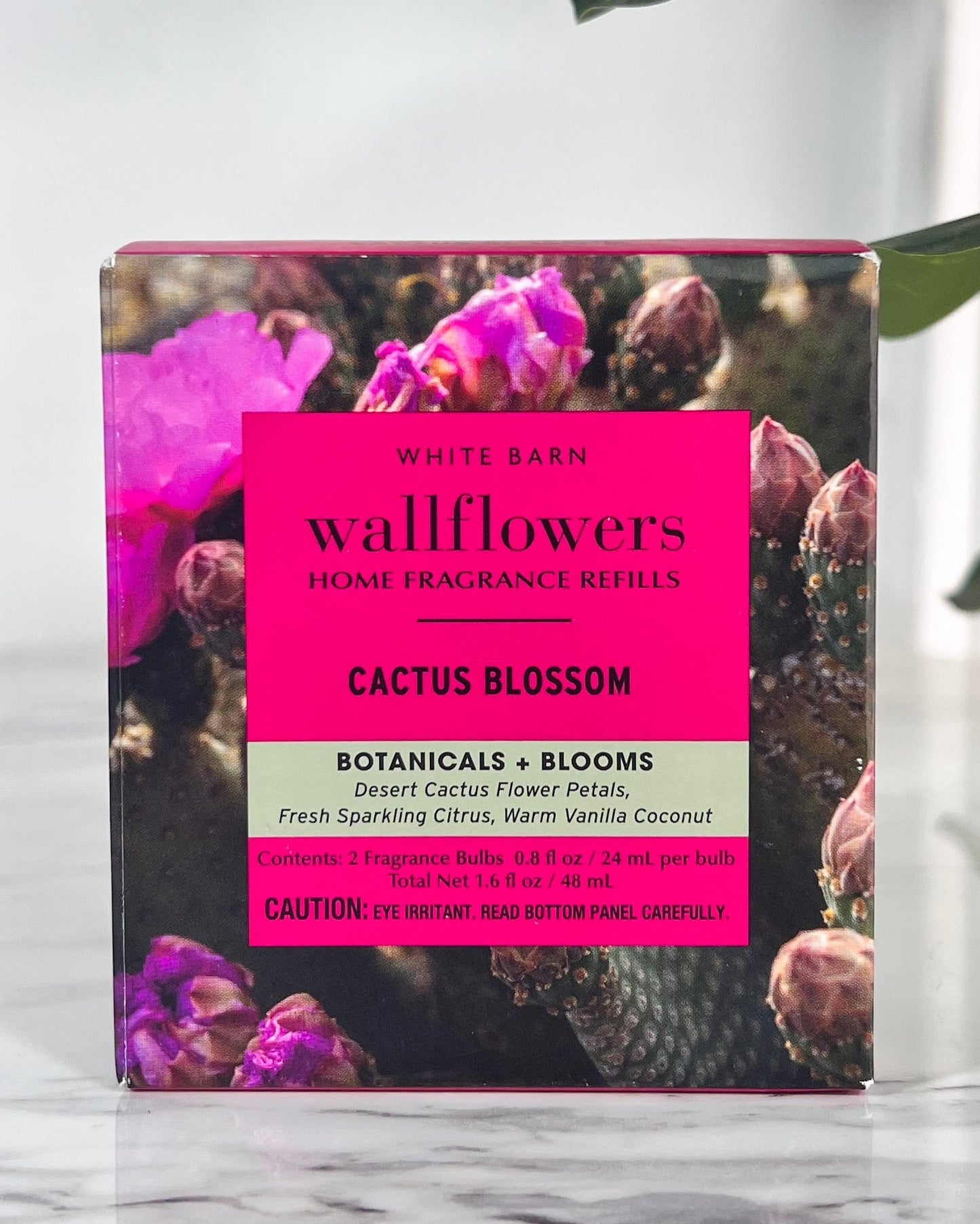 Wallflowers Cactus Blossom