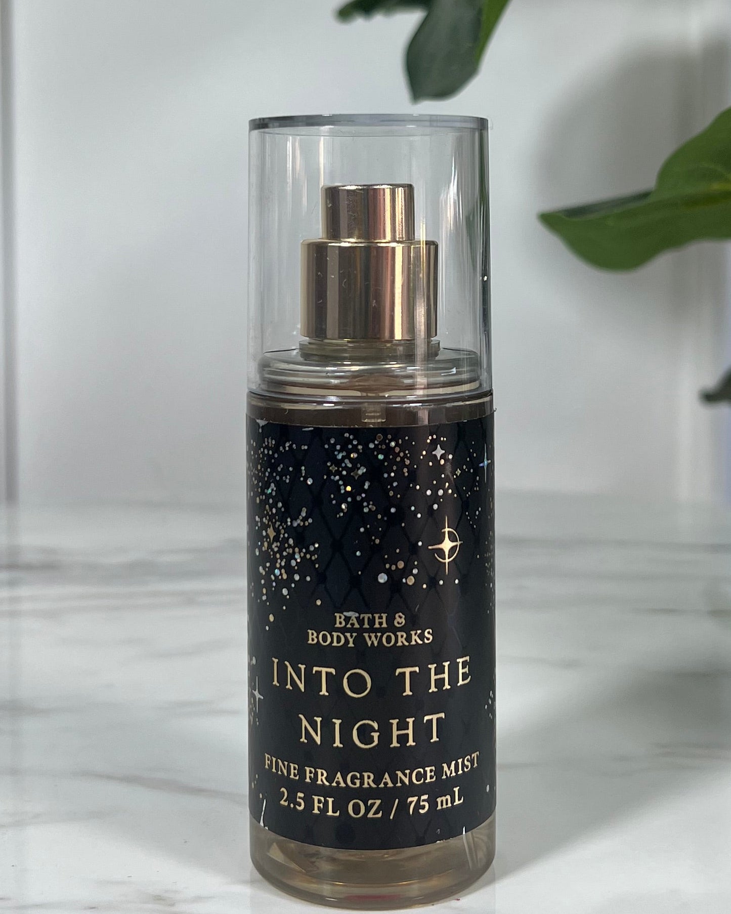 Body Mini Into The Night