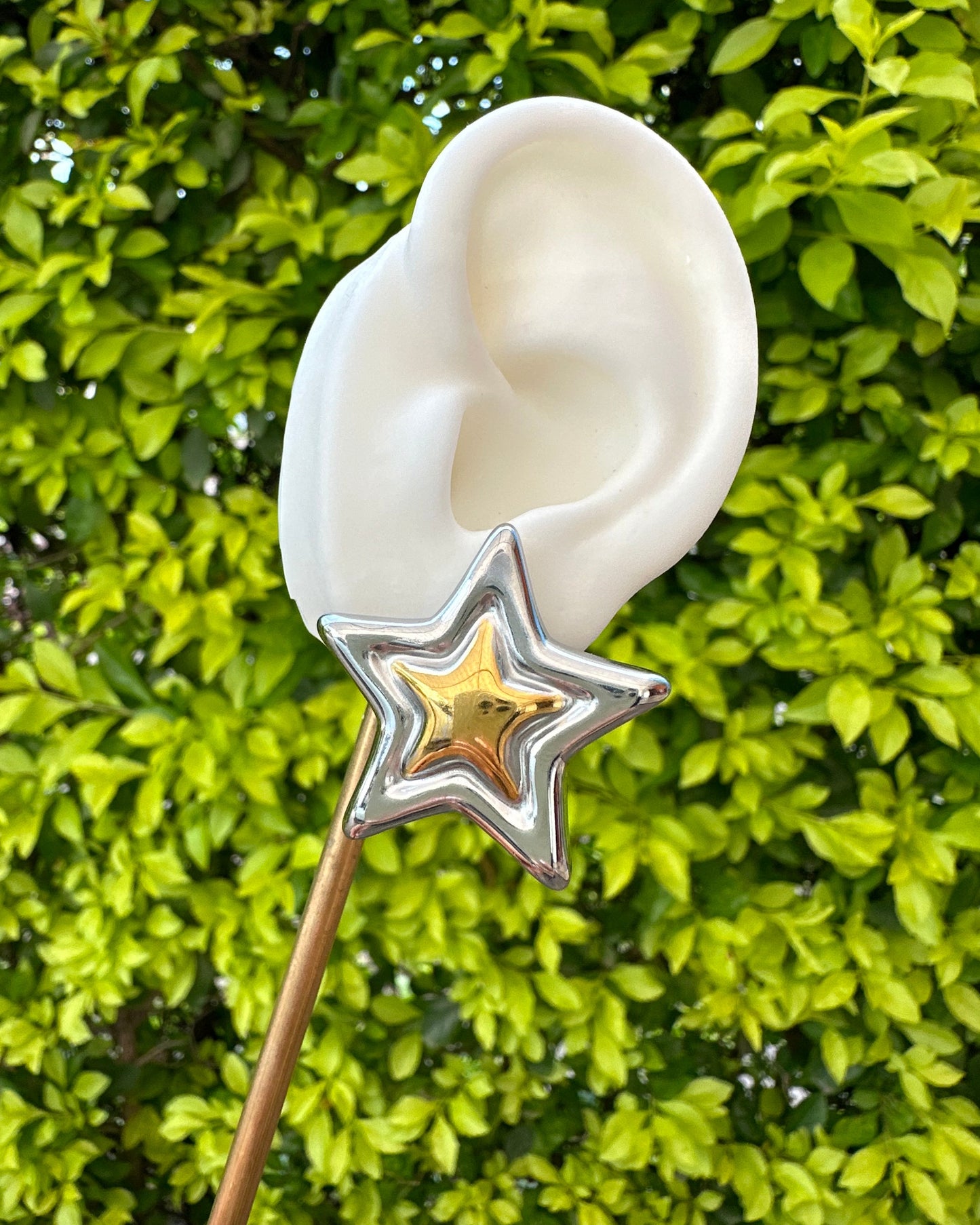 Arete Estrella Bicolor