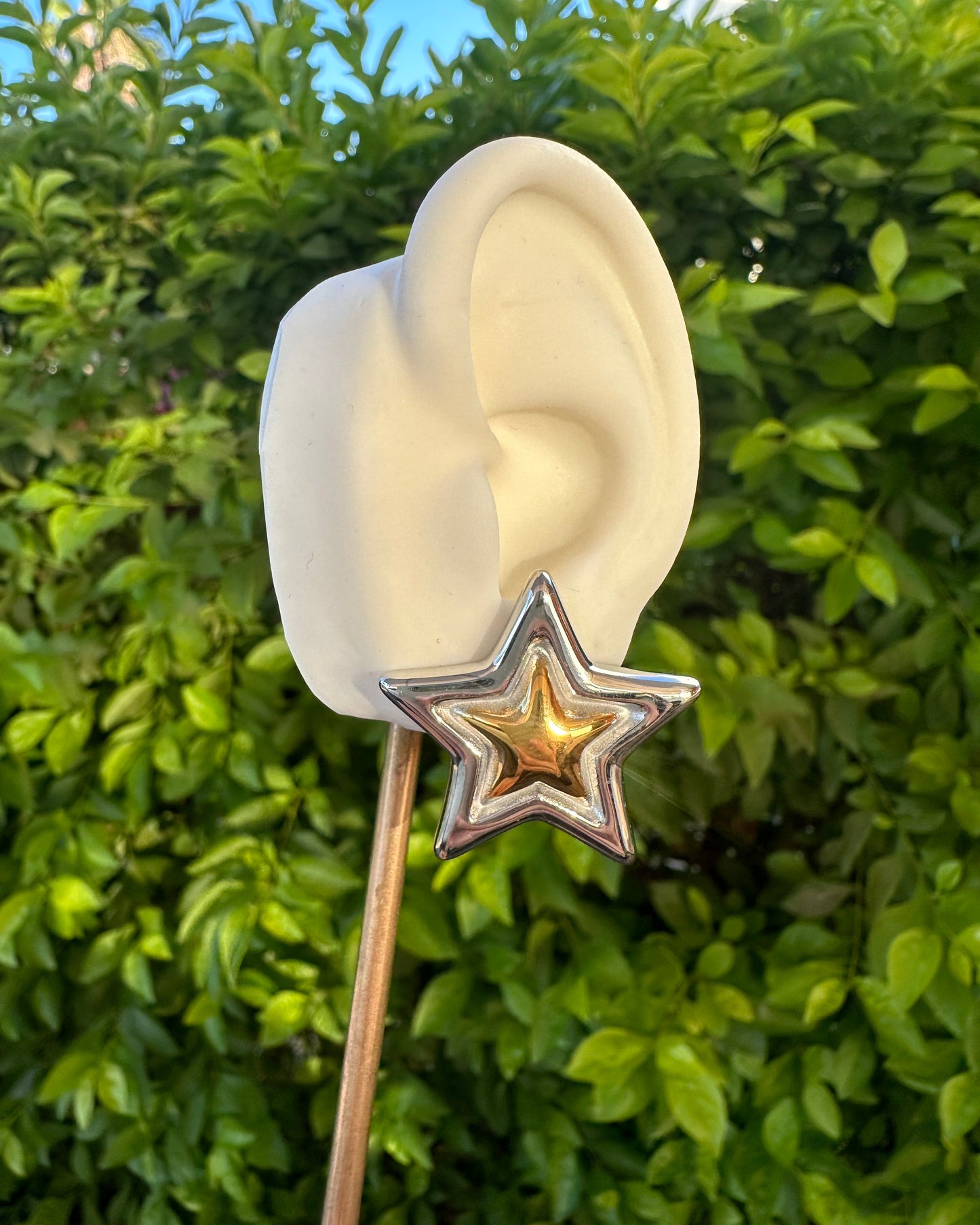 Arete Estrella Bicolor