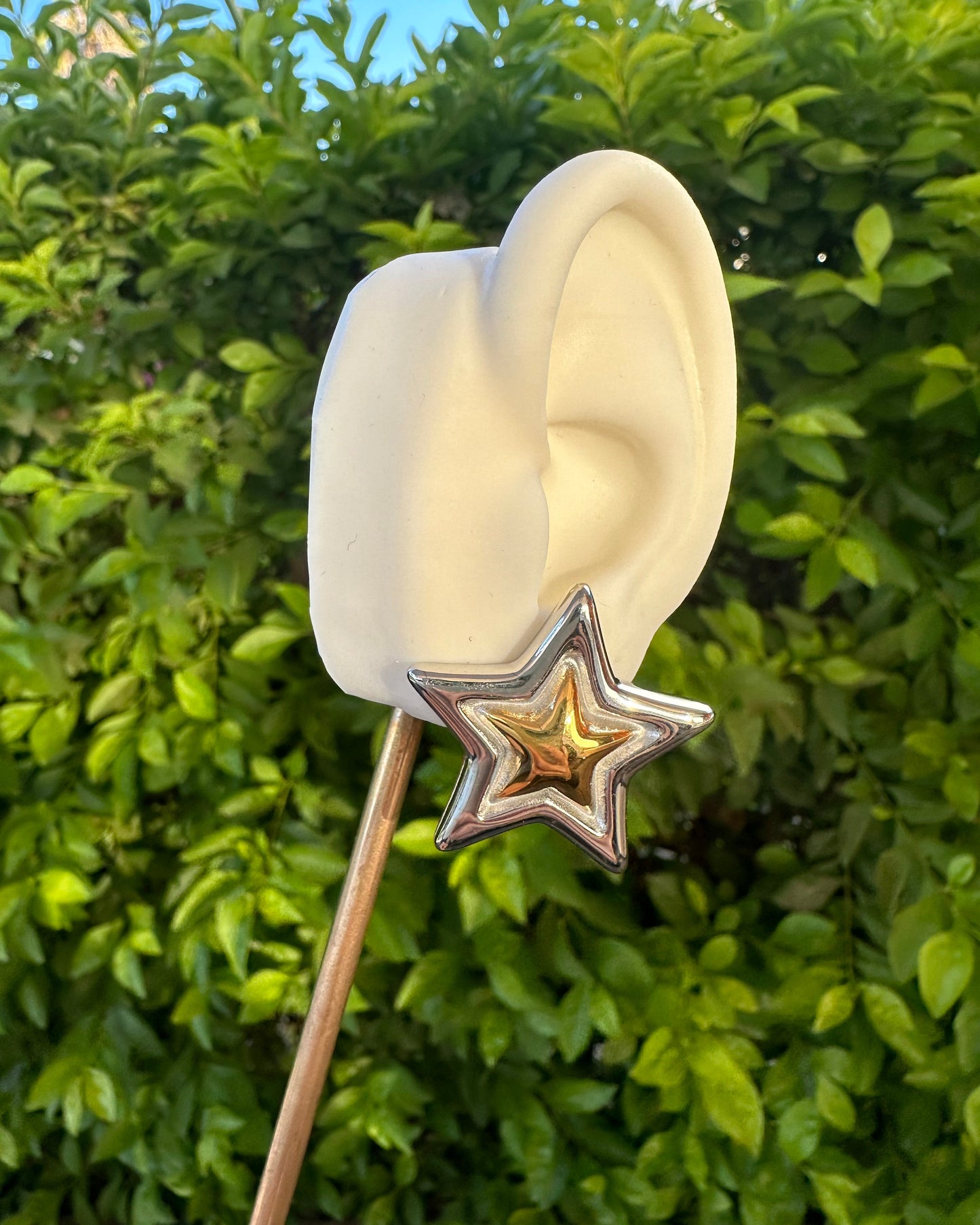 Arete Estrella Bicolor