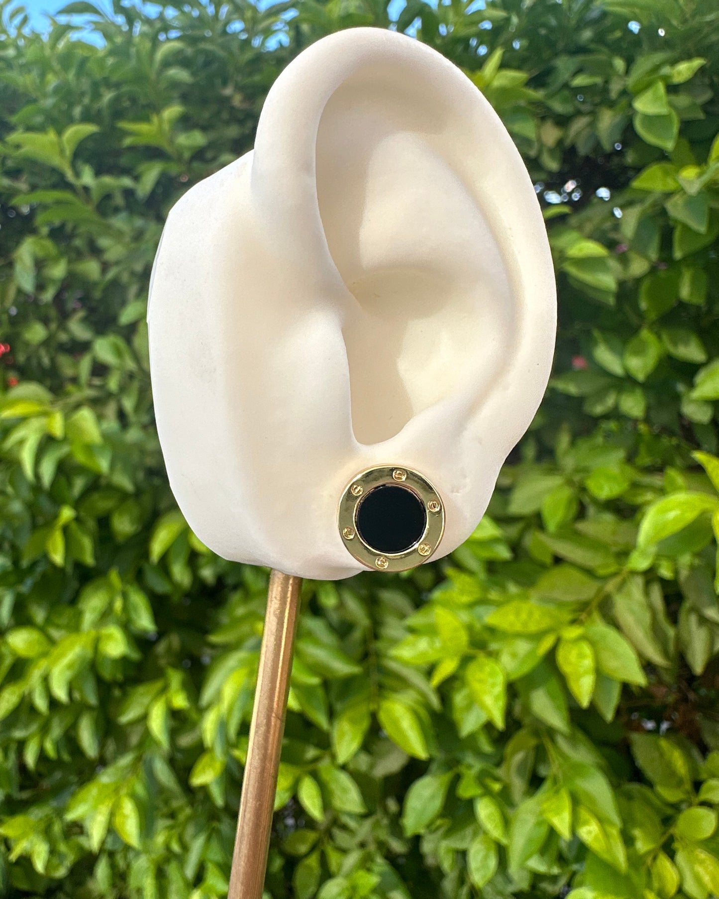 Broquel Dupe Bvlgari