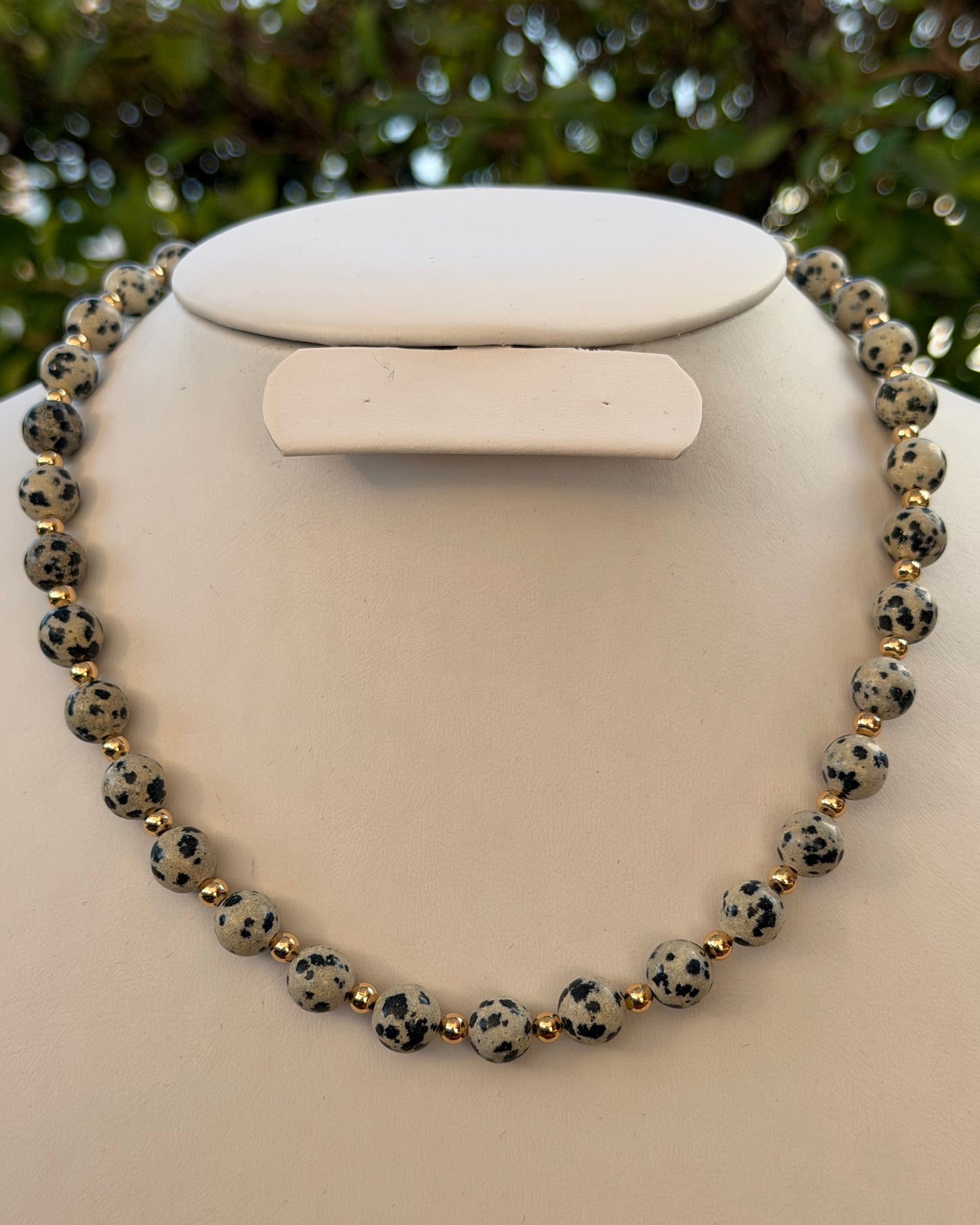 Collar Dalmata