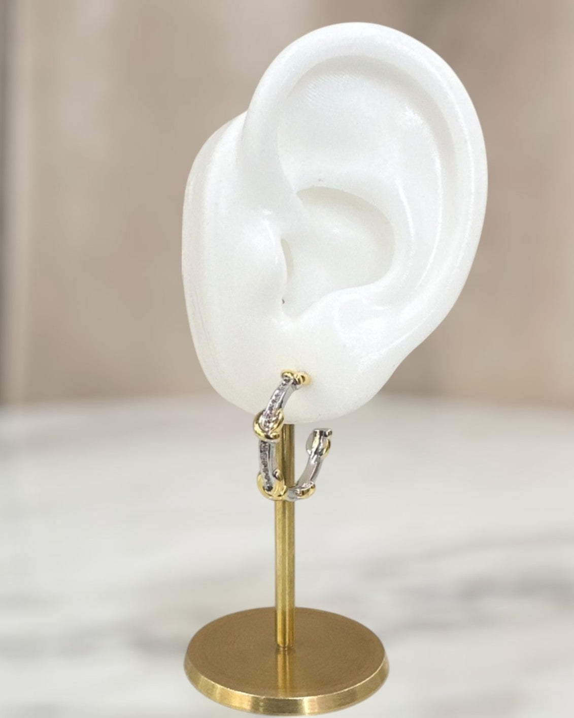 Arete Bicolor X