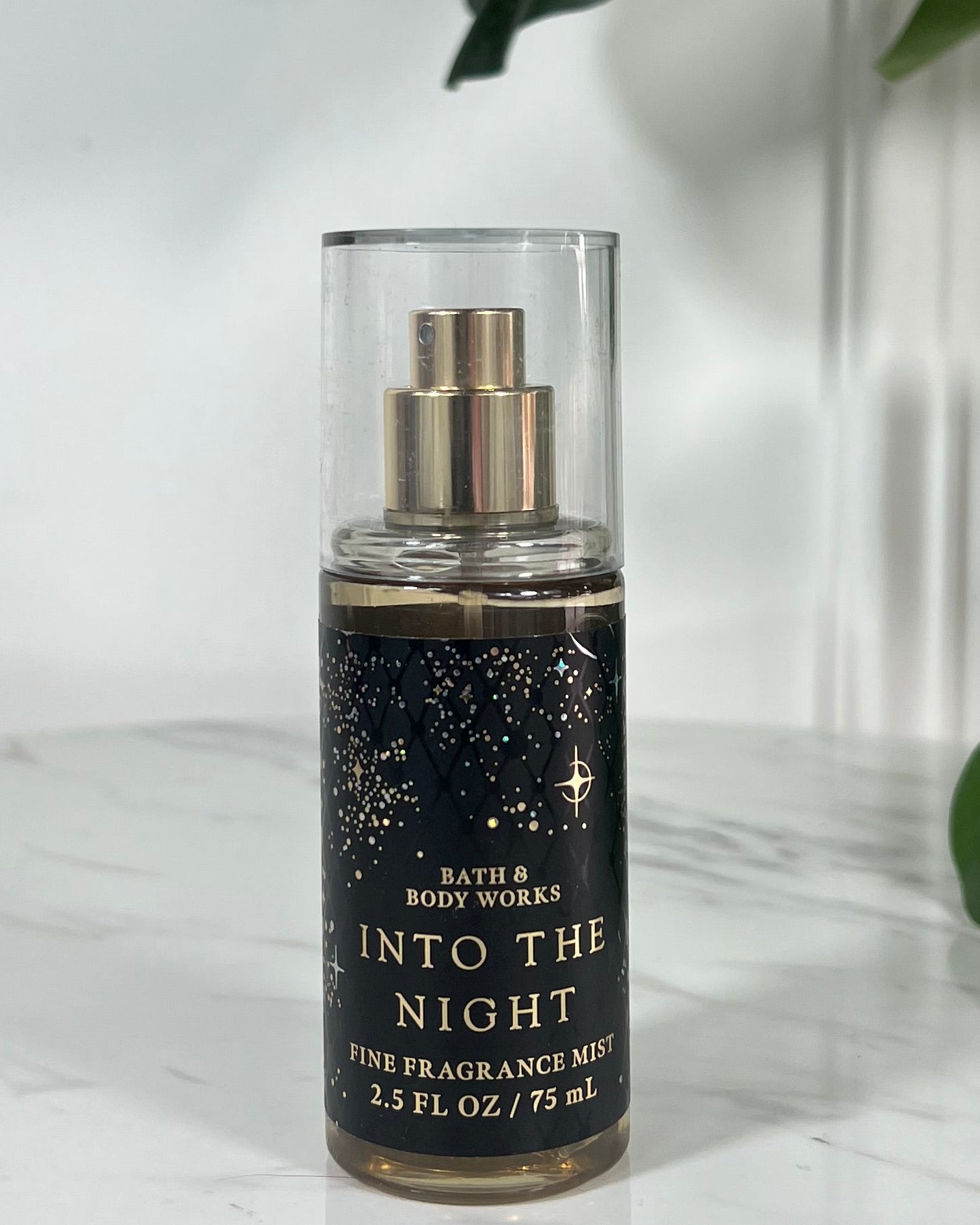 Body Mini Into The Night