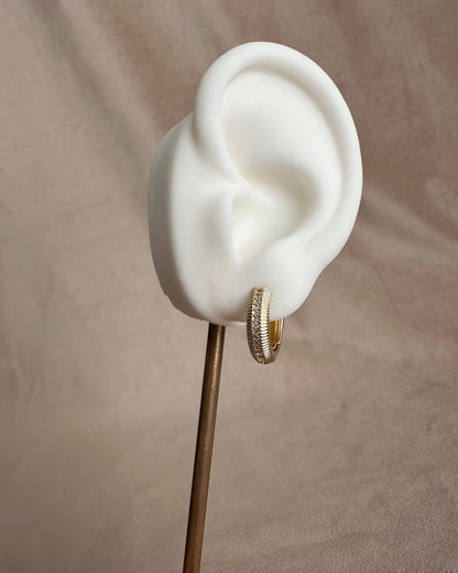 Arracada Linea de Brillo