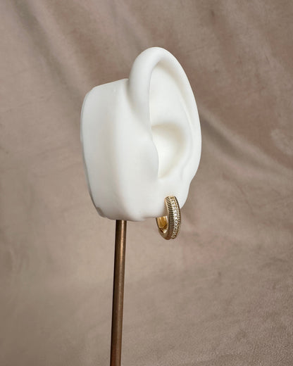 Arracada Linea de Brillo