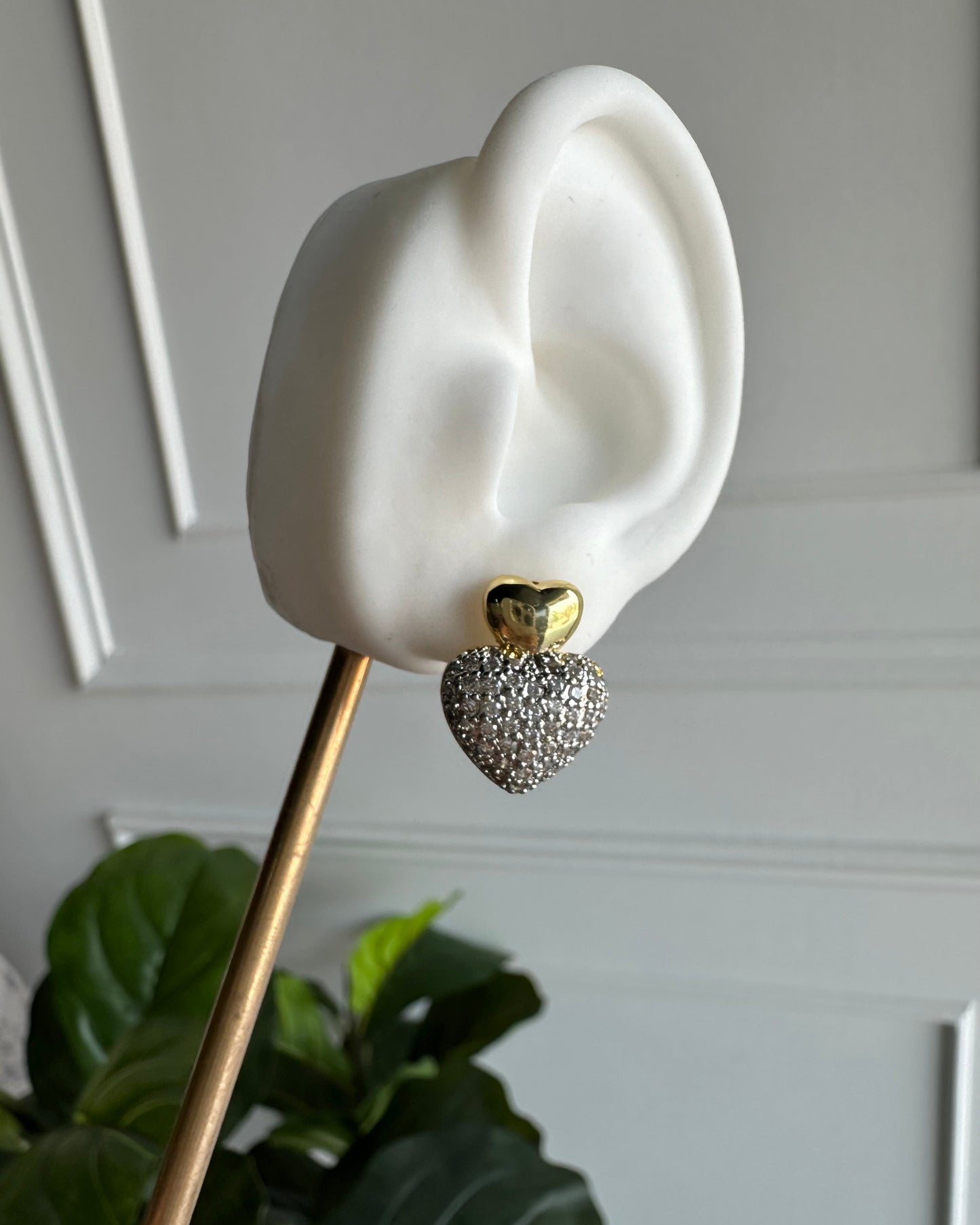 Arete Bicolor
