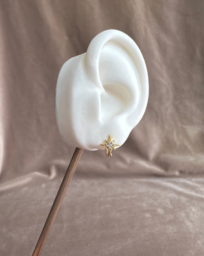 Arracada Estrella Destello