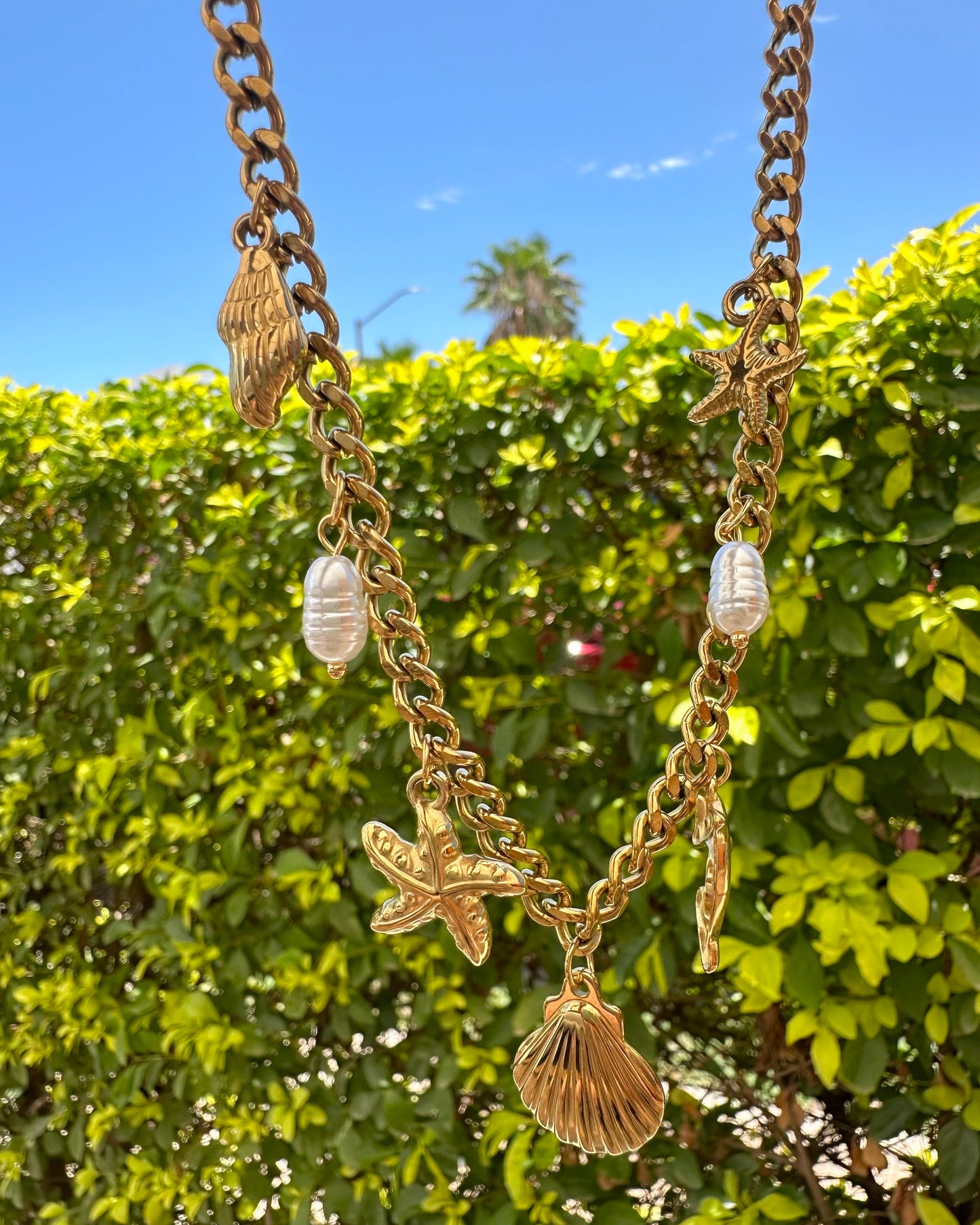 Collar playa concha