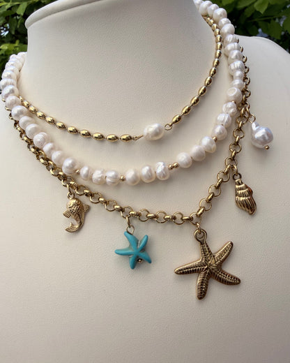Collar Estrella Dijes