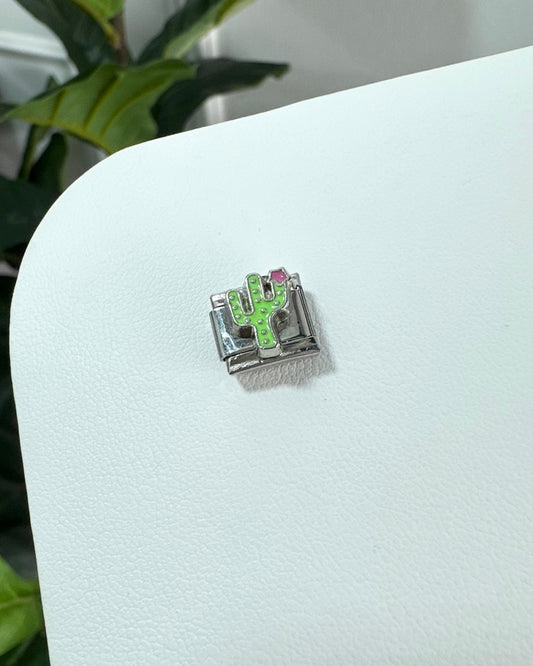 Charm Cactus