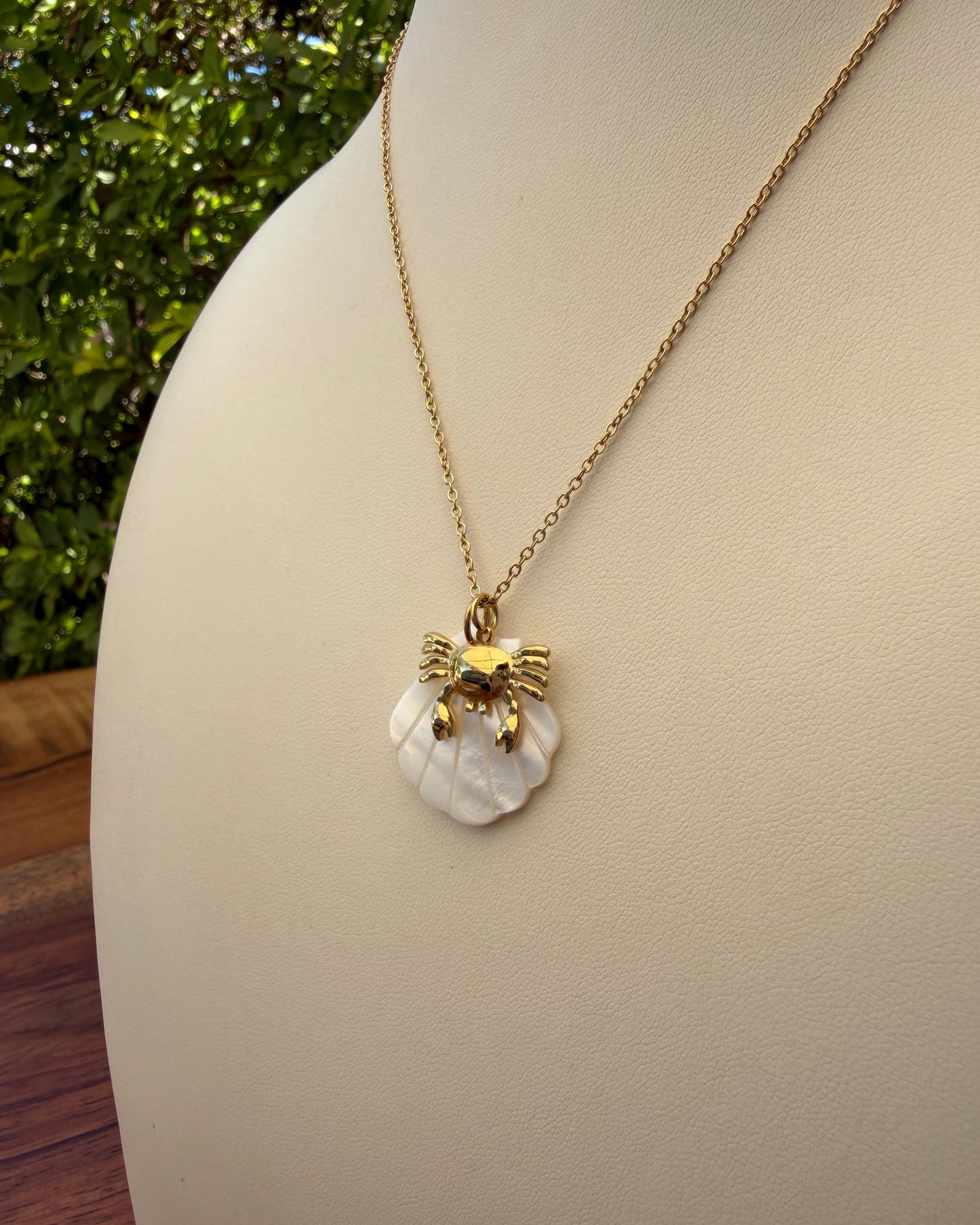 Collar Concha Cangrejo