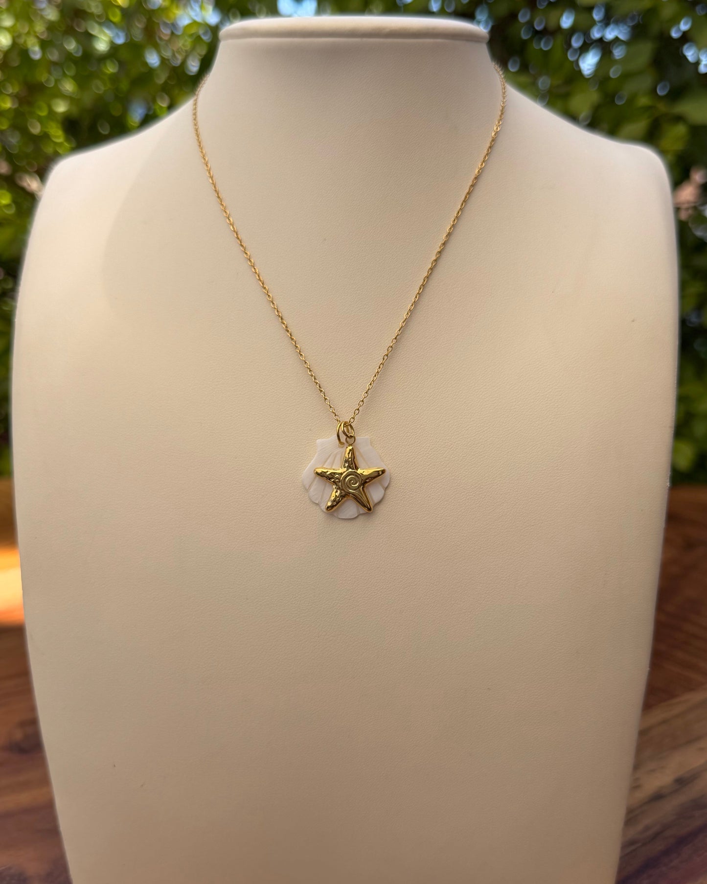 Collar Concha Estrella