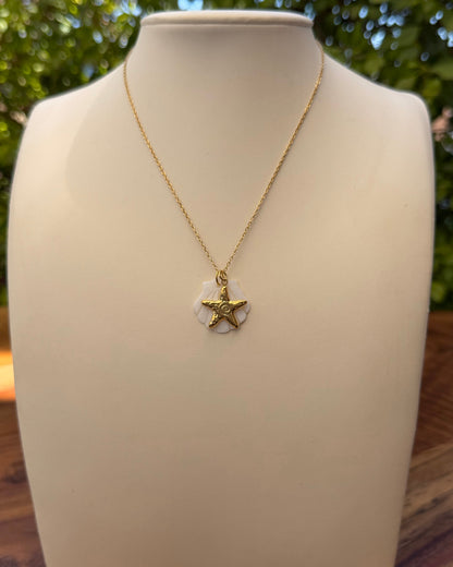 Collar Concha Estrella