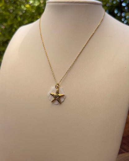 Collar Concha Estrella