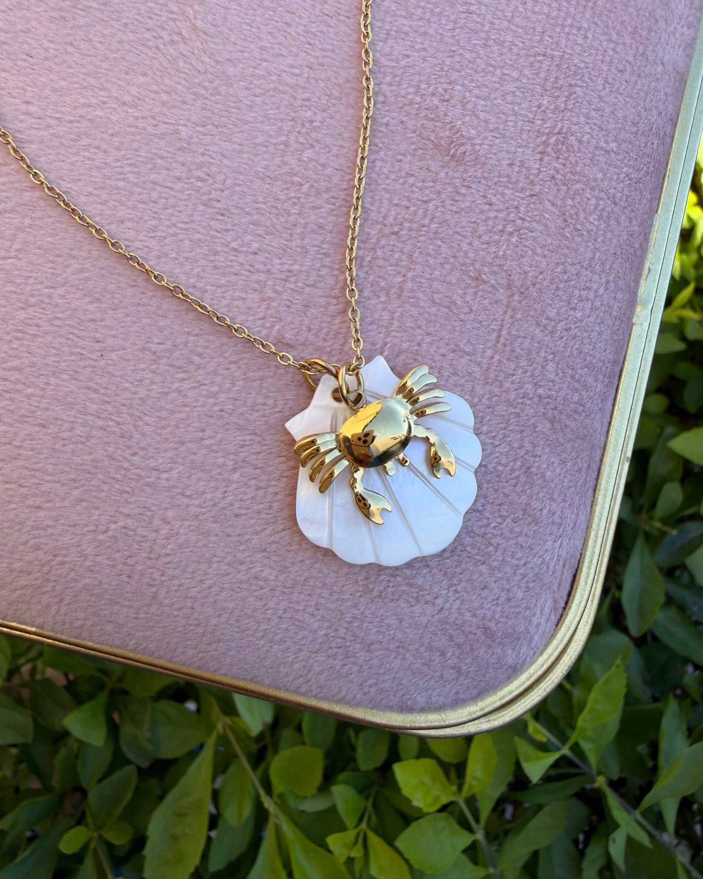 Collar Concha Cangrejo