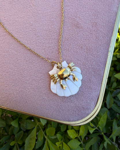 Collar Concha Cangrejo