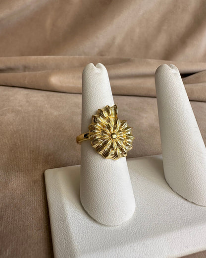 Anillo Caracol