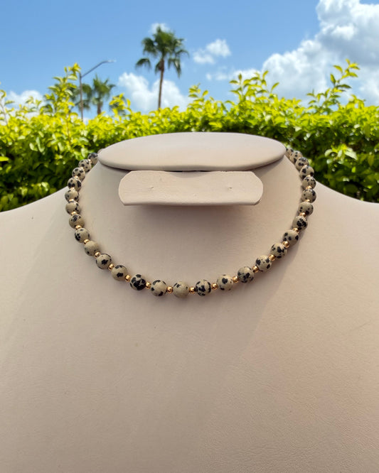 Collar Dalmata B Mini