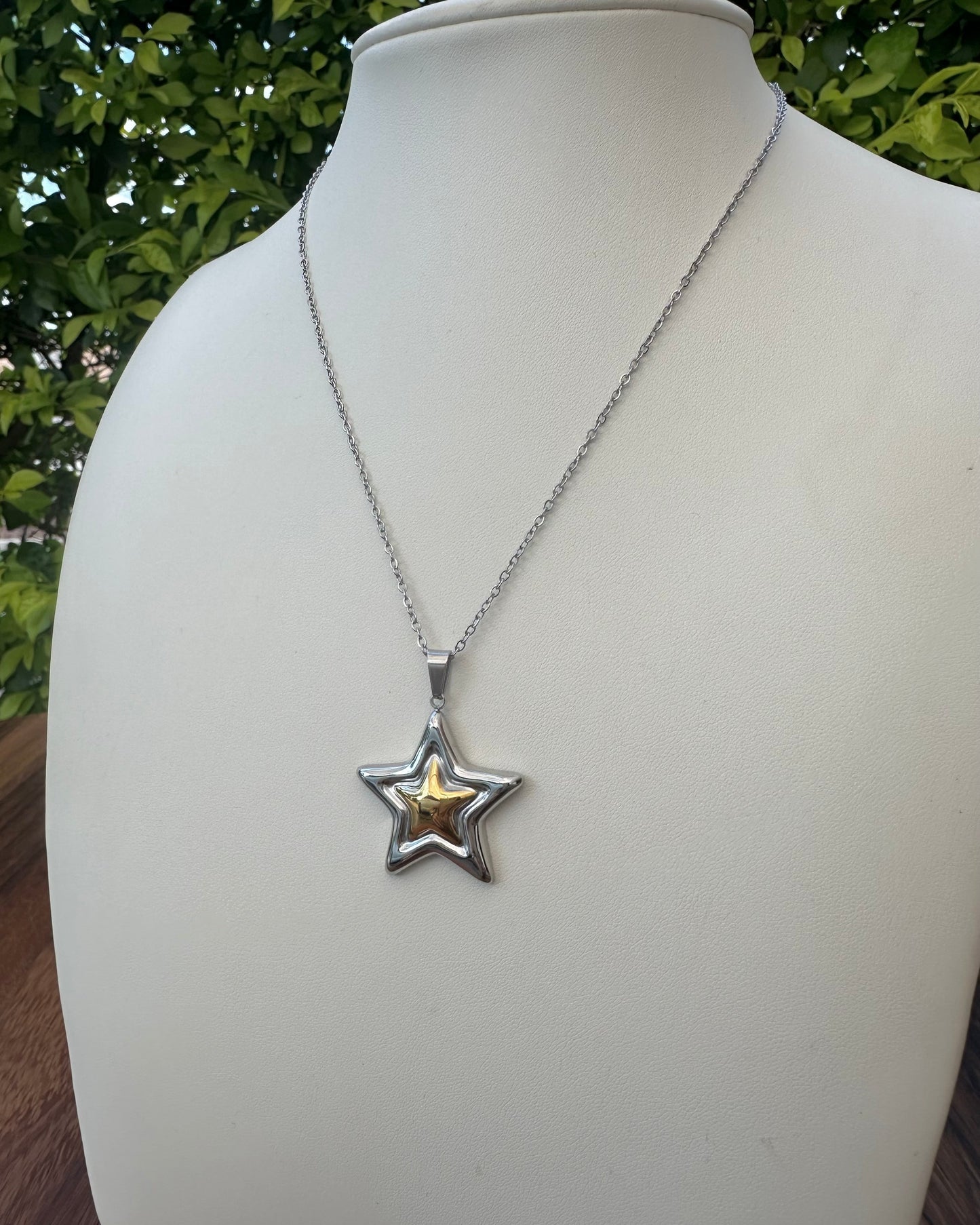 Collar Estrella Bicolor
