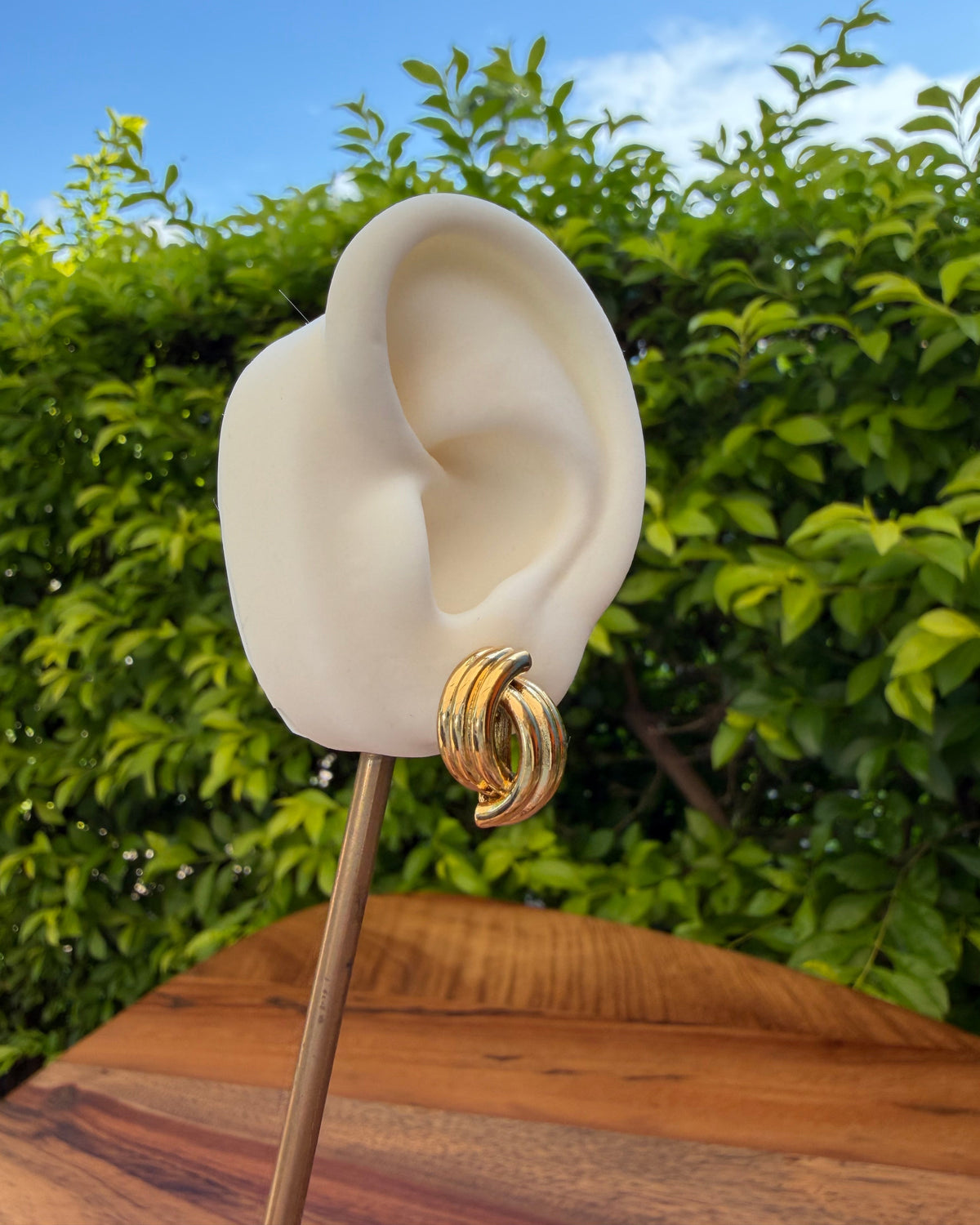 Arete Nudo Ovalado
