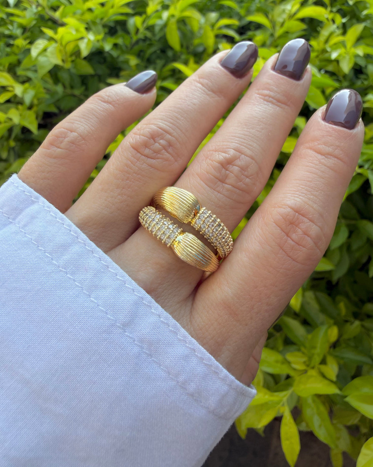 Anillo Clio