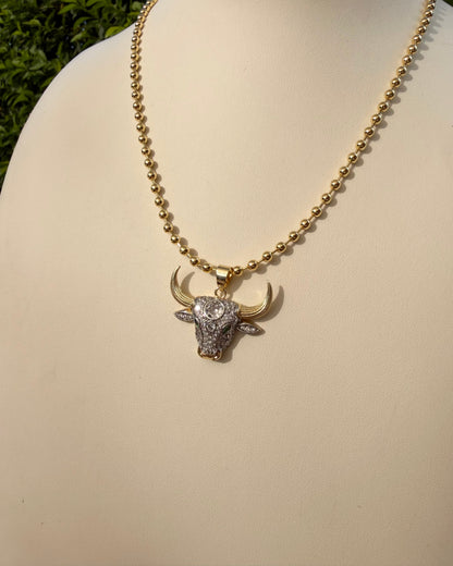 Collar Toro Brillo