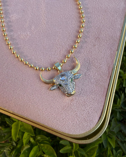 Collar Toro Brillo