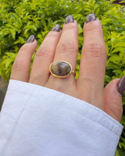 Anillo Late