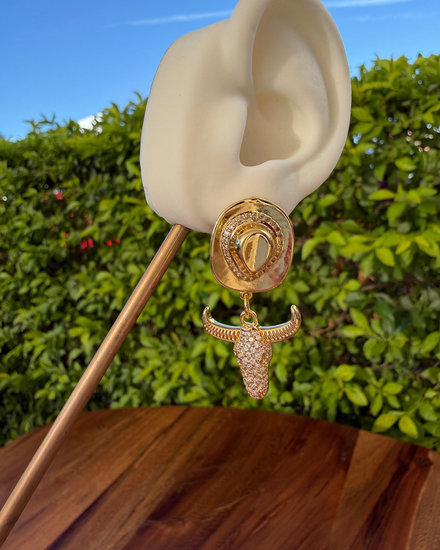 Arete Sombrero Toro