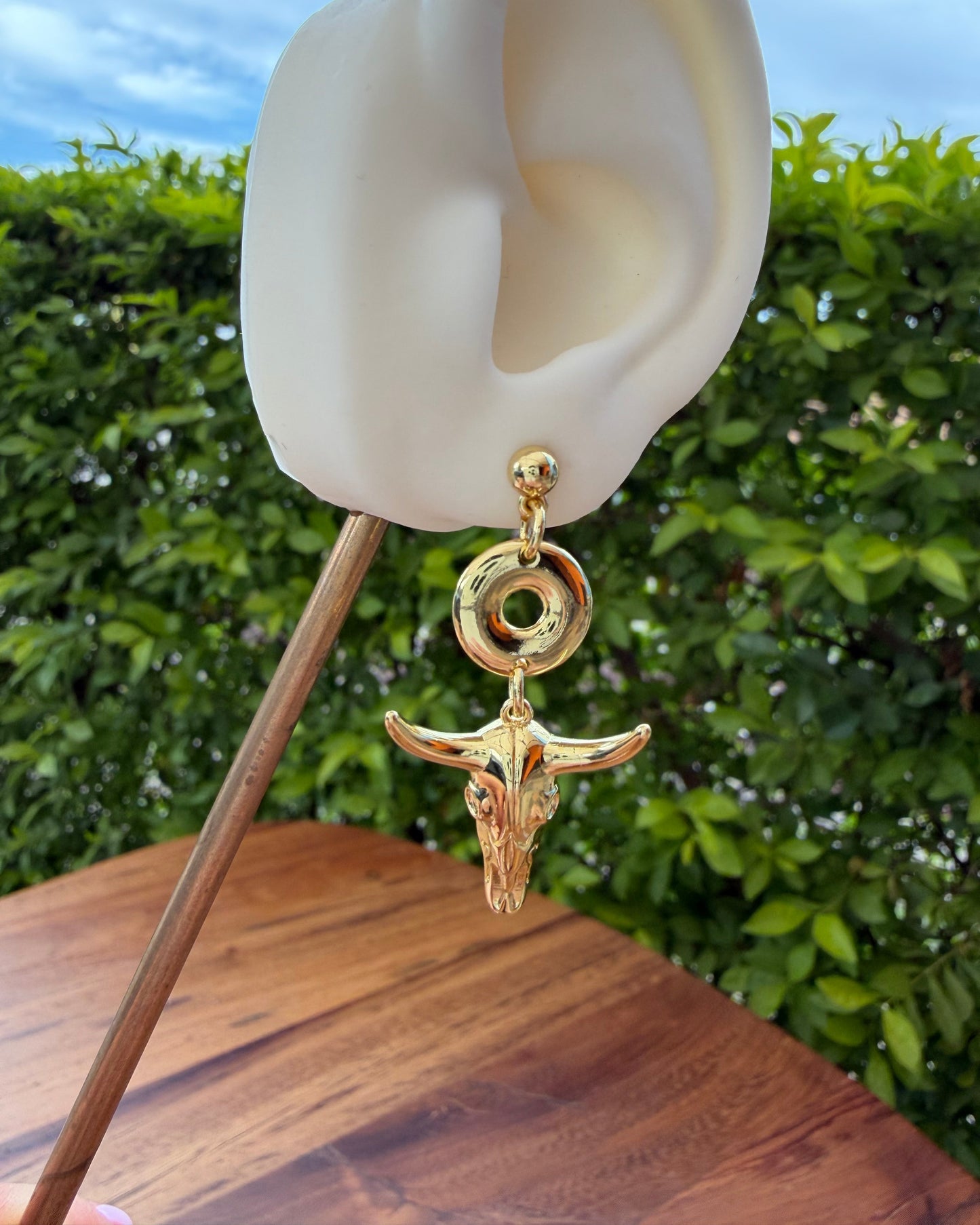 Arete Toro