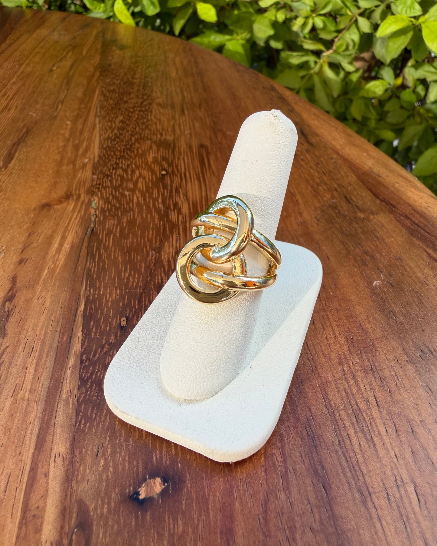 Anillo Doble Circulo