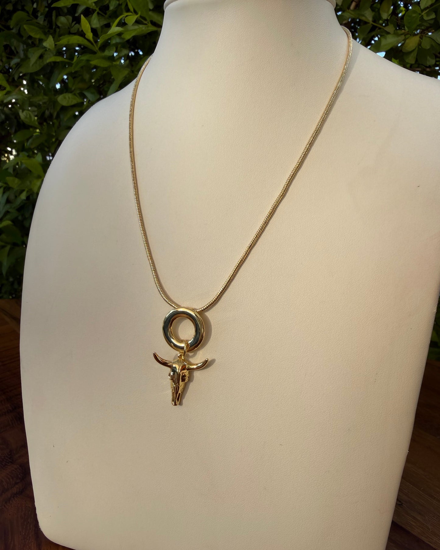 Collar Toro
