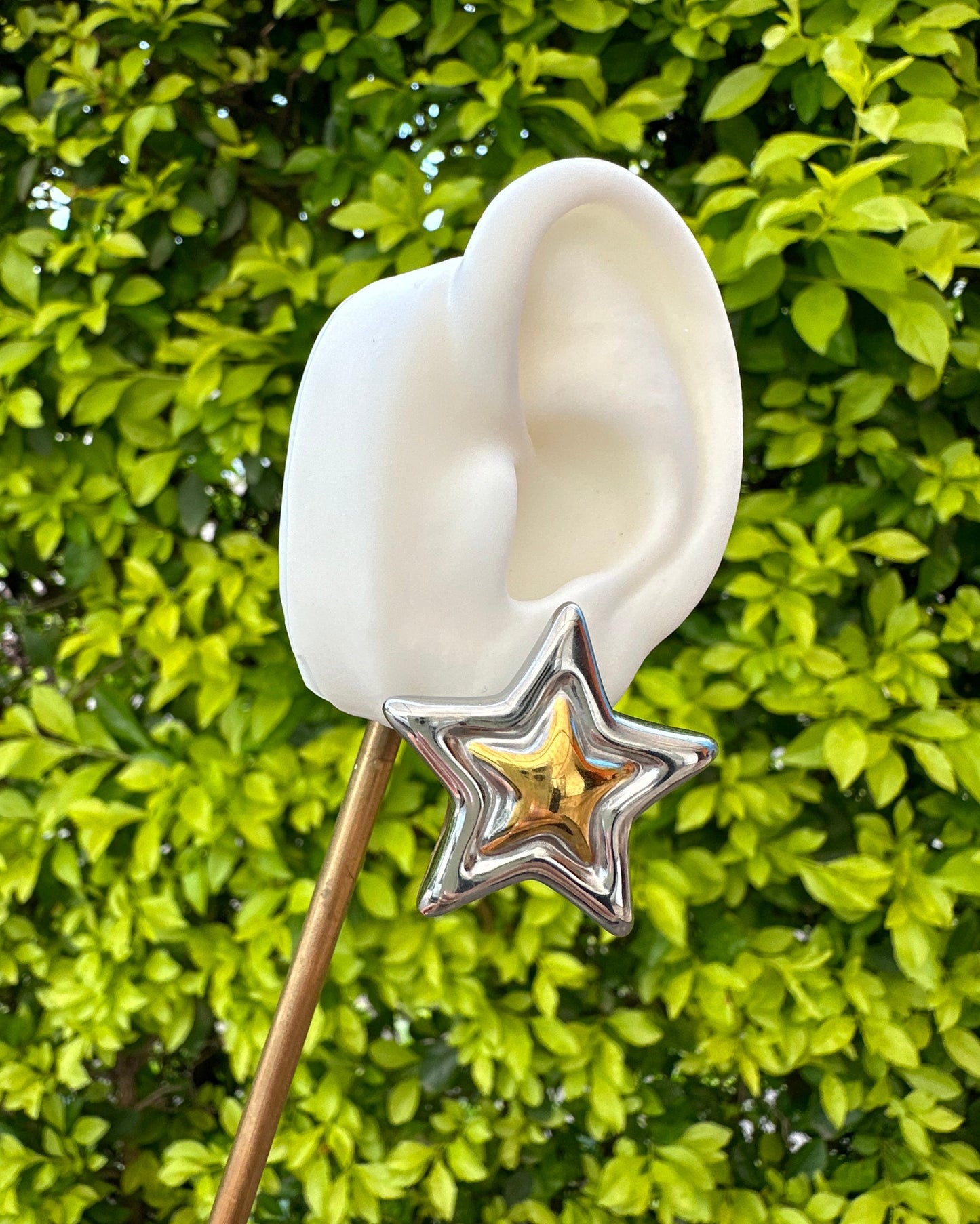 Arete Estrella Bicolor