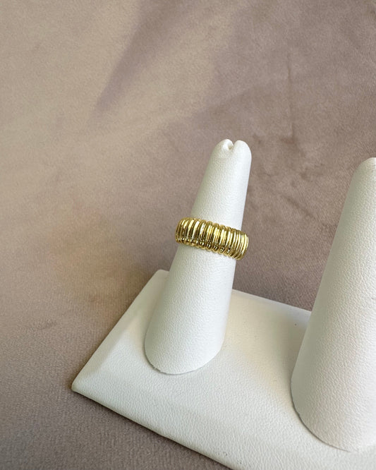 Anillo Lineas D