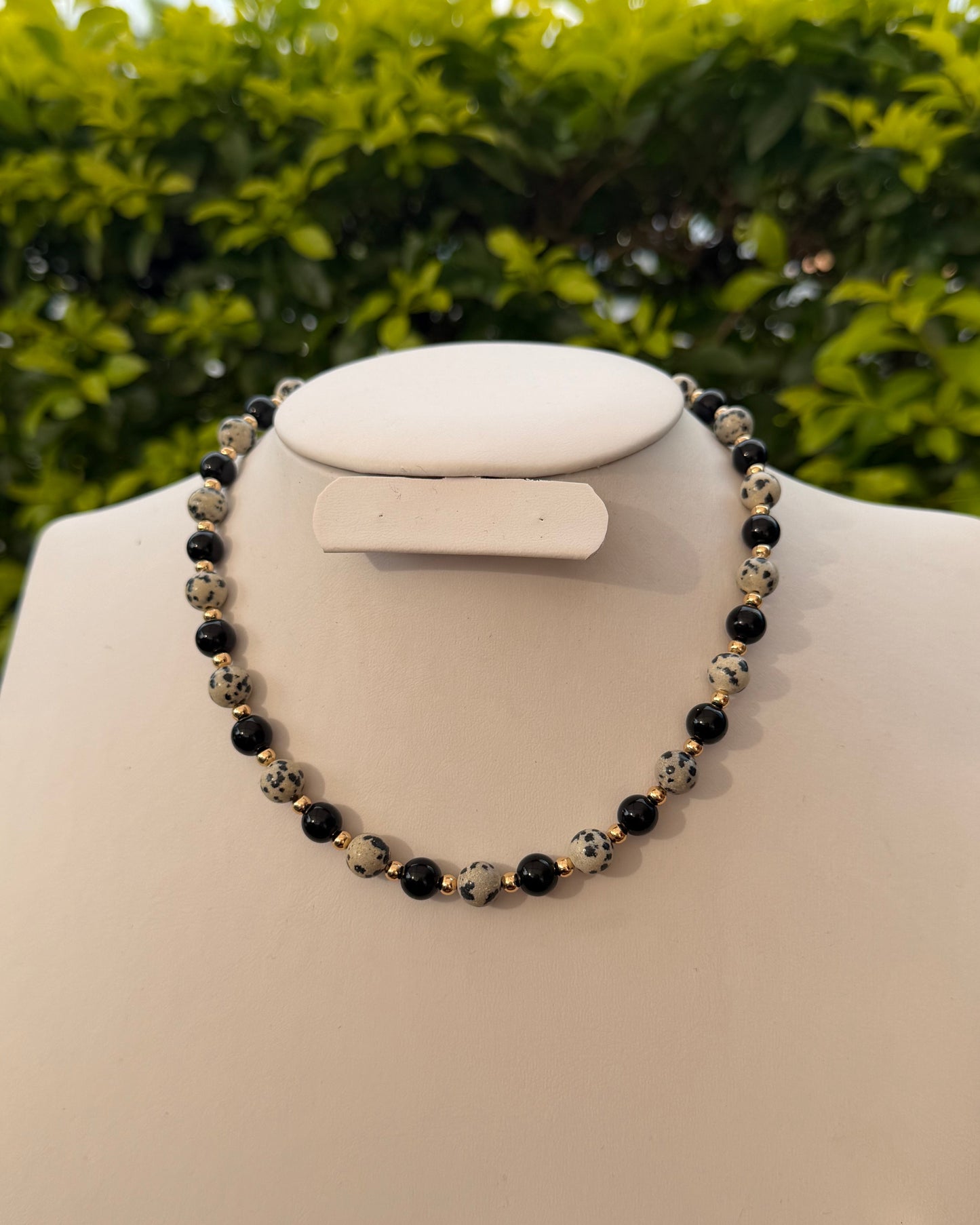 Collar Dalmata