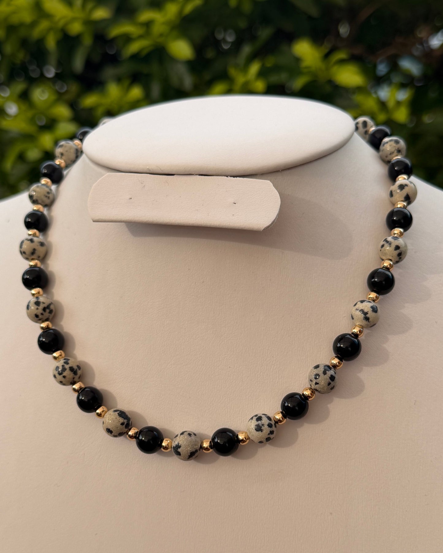 Collar Dalmata