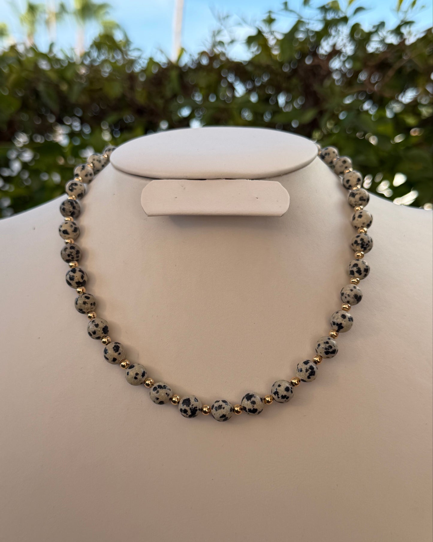Collar Dalmata
