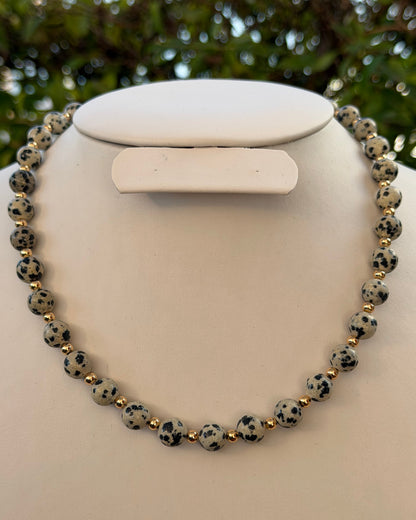 Collar Dalmata